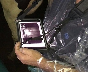 ECOGRAFO COLOR-DOPPLER SR-1C WI-FI