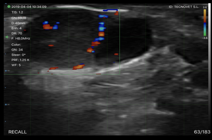 ECOGRAFO COLOR-DOPPLER SR-1C WI-FI
