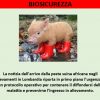 BIOSICUREZZA