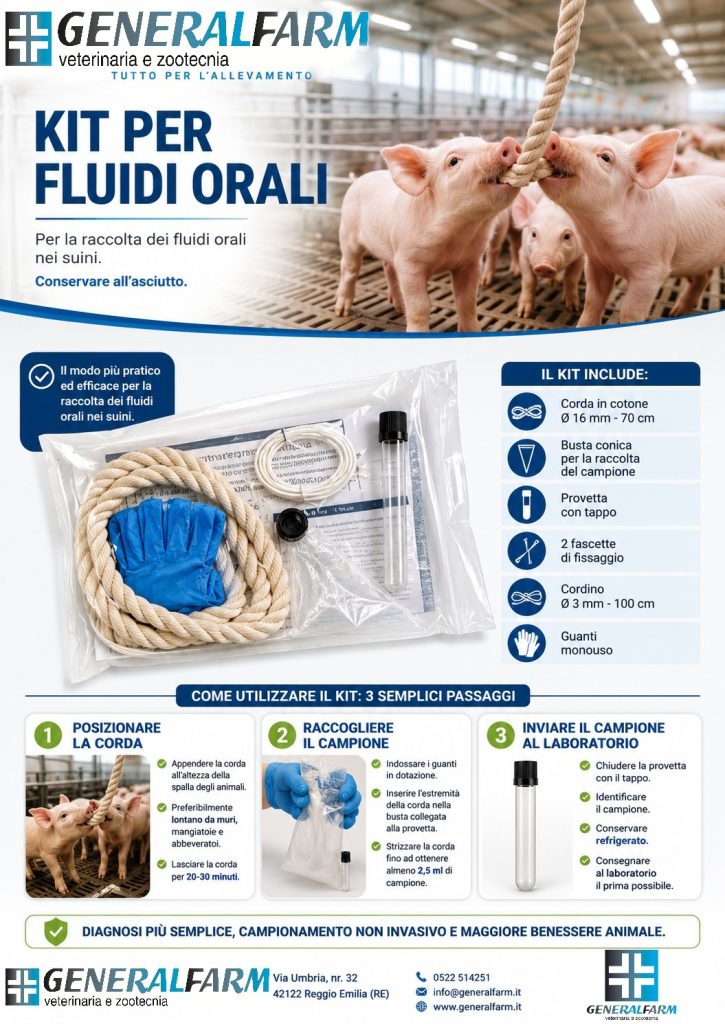 KIT PER FLUIDI ORALI PER SUINI, PER UNA DIAGNOSI PIU' SEMPLICE, NON INVASIVA E MAGGIORE BENESSERE ANIMALE